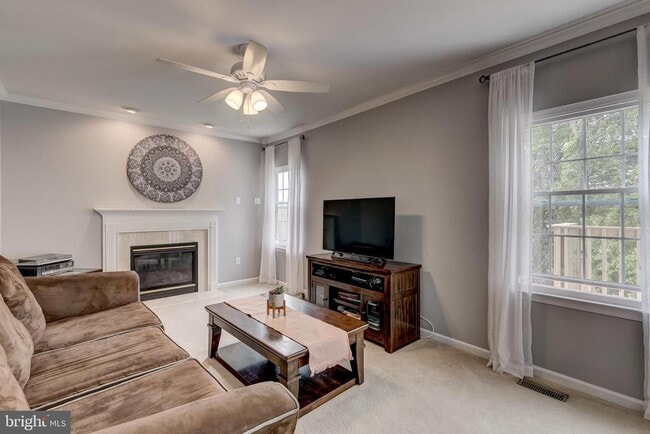 Building Photo - 583 Henderson Rd