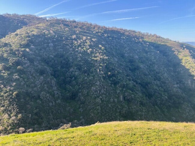 Building Photo - Amazing Mountain Views...