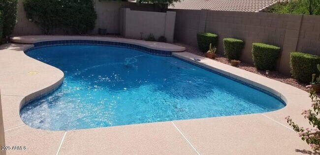Building Photo - 9113 E Palm Tree Dr