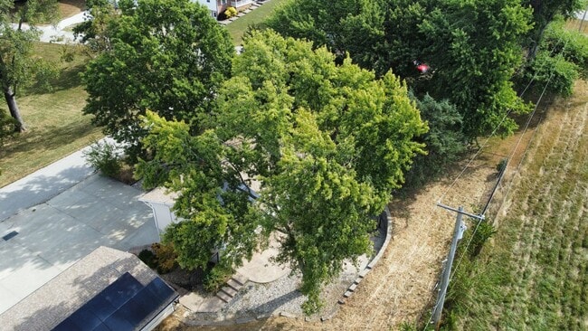 Building Photo - 6120 Dove Lake View