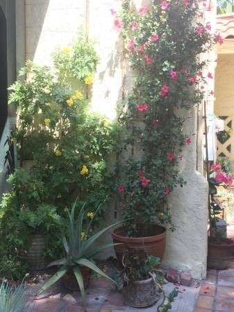 Building Photo - 601 S Sweetzer Ave