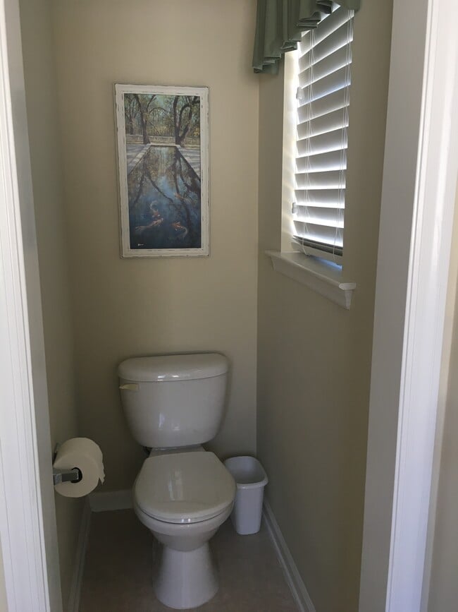 master toilet - 1243 Carriage Dr