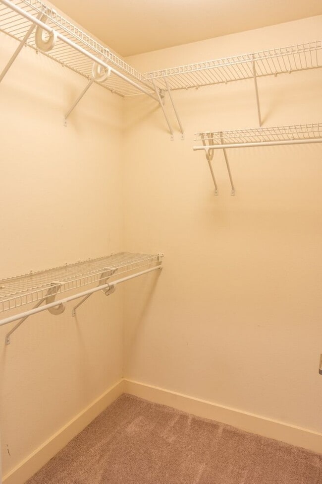 Building Photo - 4bd/2.5ba Seattle Home