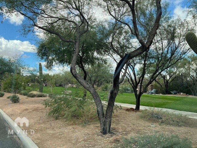 Building Photo - 801 Calle Tikal