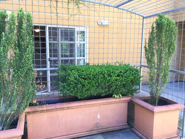 Building Photo - Beautiful Unit in Downtown Bellevue!