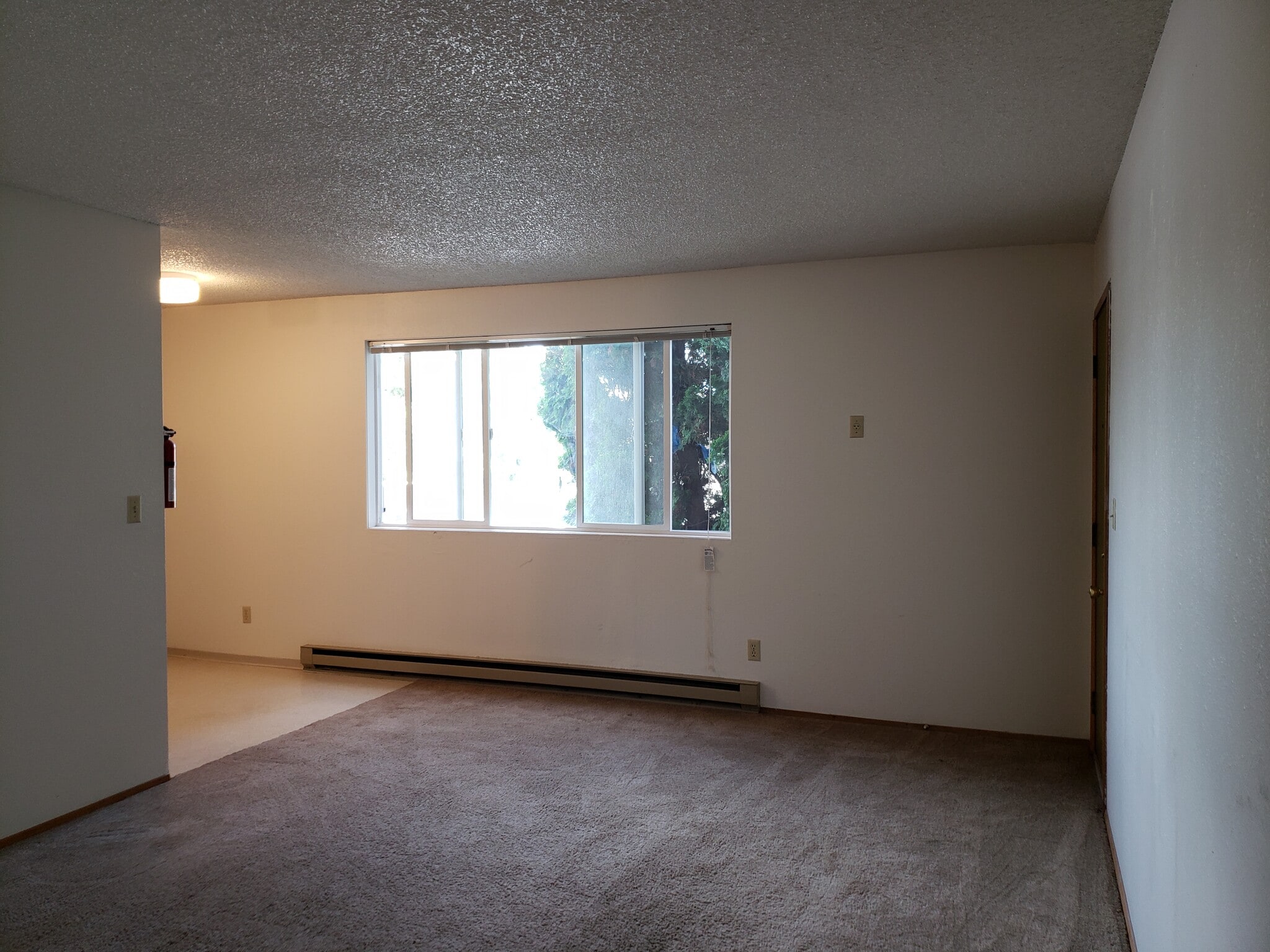 Hill Rental Properties 1218 S Main St Moscow ID 83843 Apartment Finder