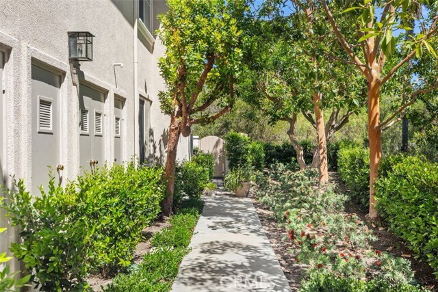 Building Photo - 1 Calle Viveza