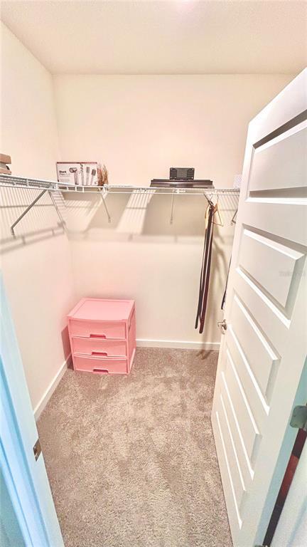 Building Photo - 3919 Malawi Trl