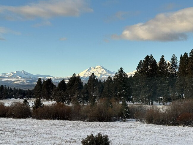 Building Photo - HUGE Custom-Designed Dream Home bordering ...