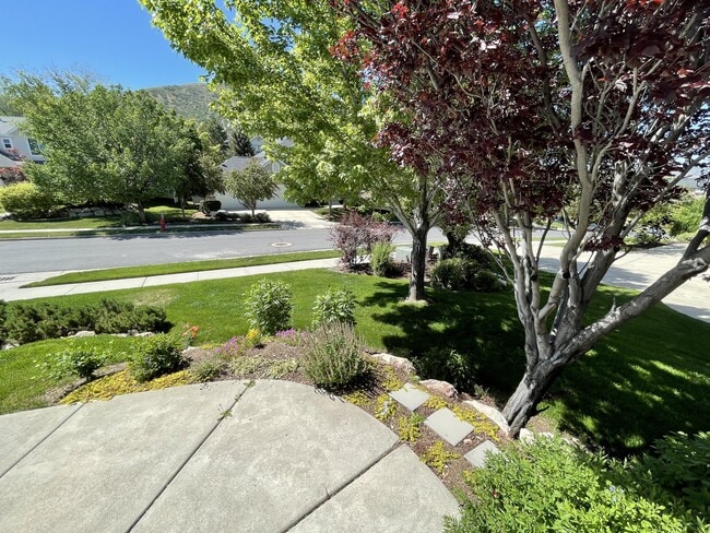 Building Photo - 561 Rocky Knoll Ln