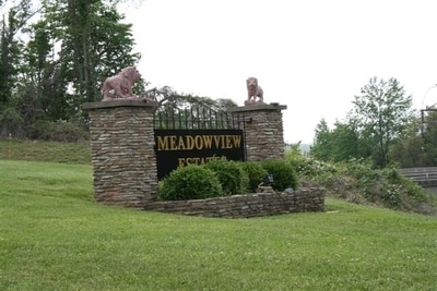 Primary Photo - Meadow View