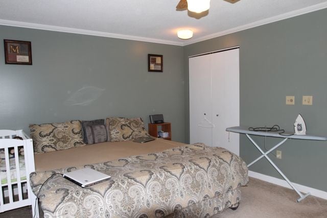 Master Bedroom - 238 Base Hill Rd