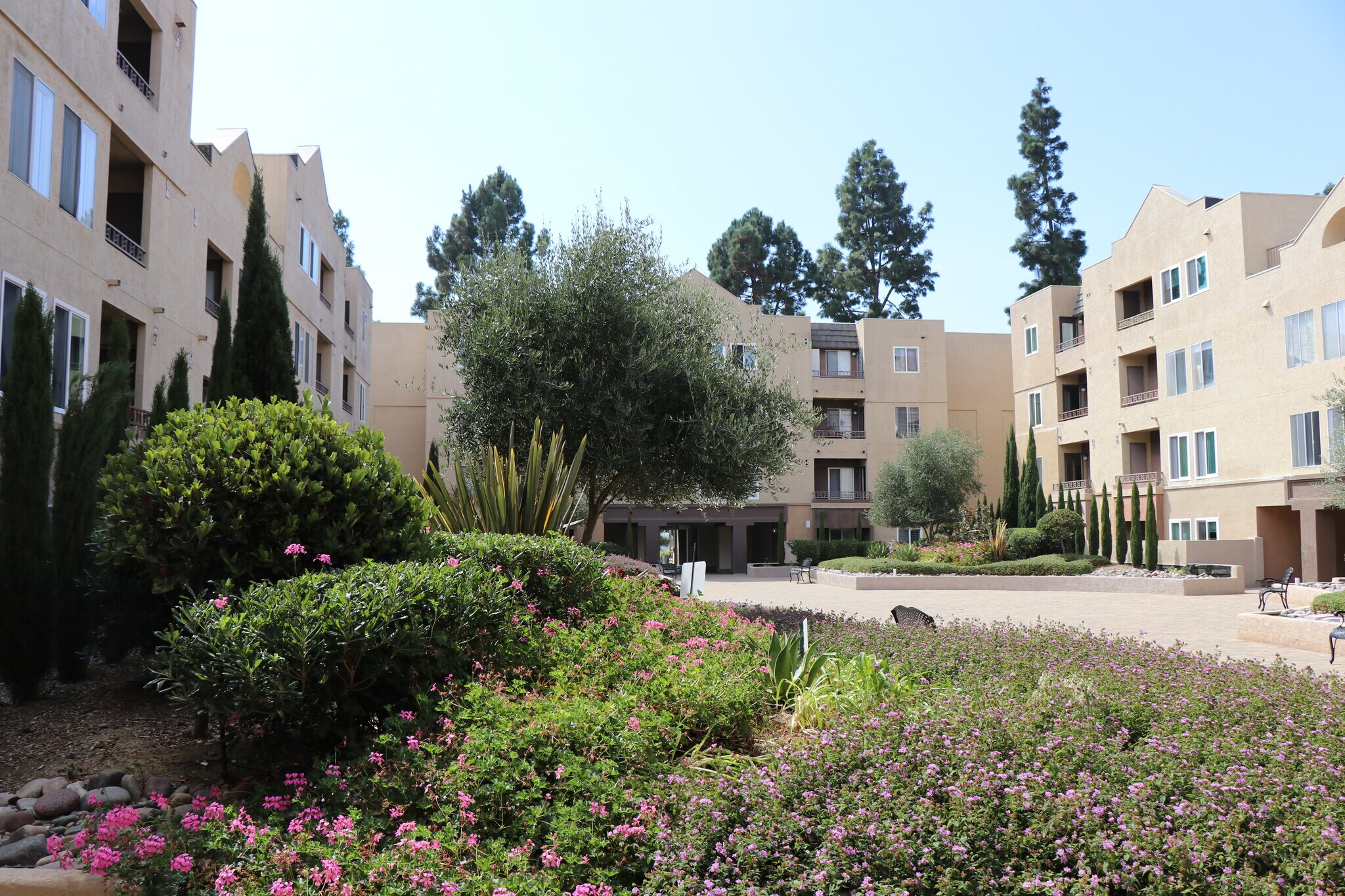 Inner Courtyard - 8889 Caminito Plaza Centro