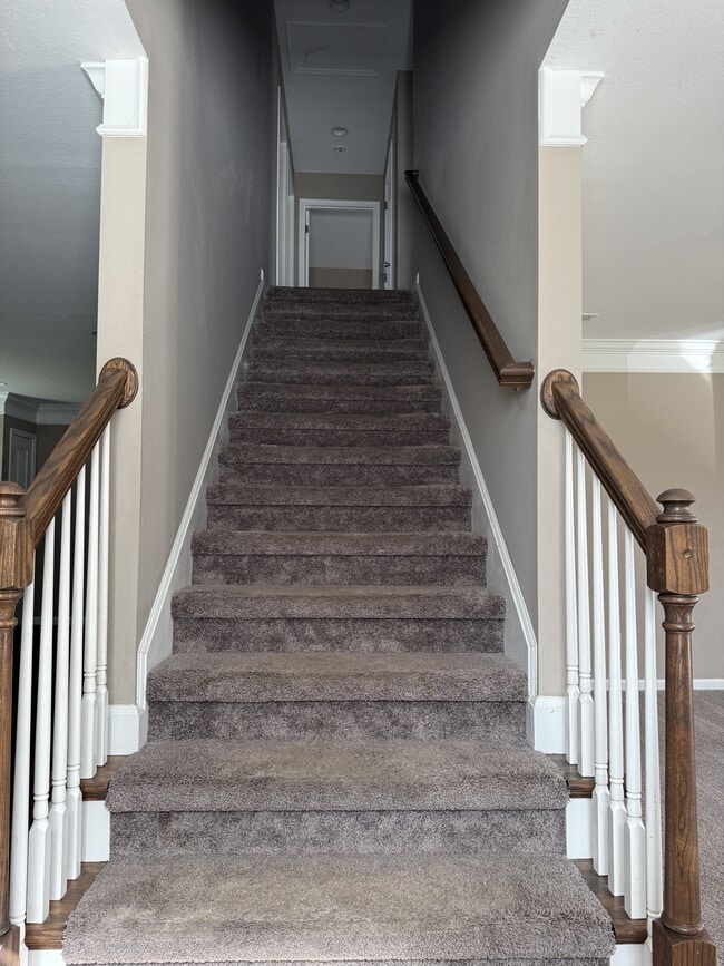 Building Photo - 3113 Dominion Dr