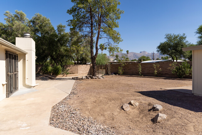 Backyard view north toward Catalina Mountains. - 4860 N 15th Pl