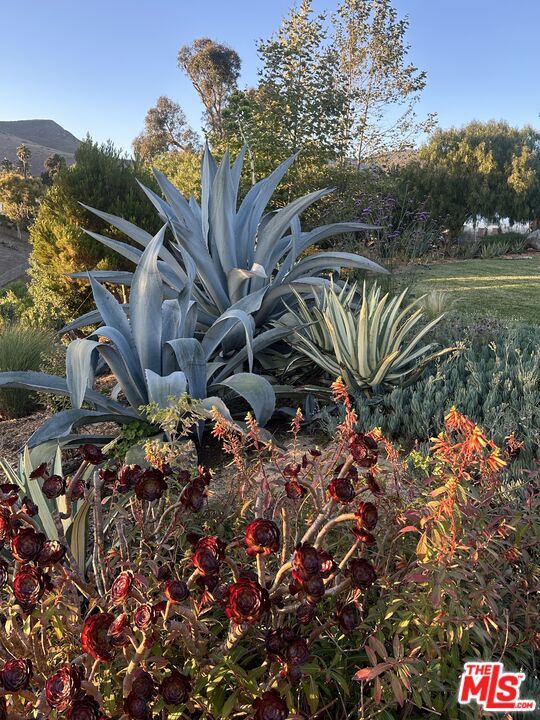 Building Photo - 5927 Busch Dr