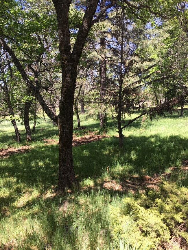 Building Photo - 12381 Sunset Ave