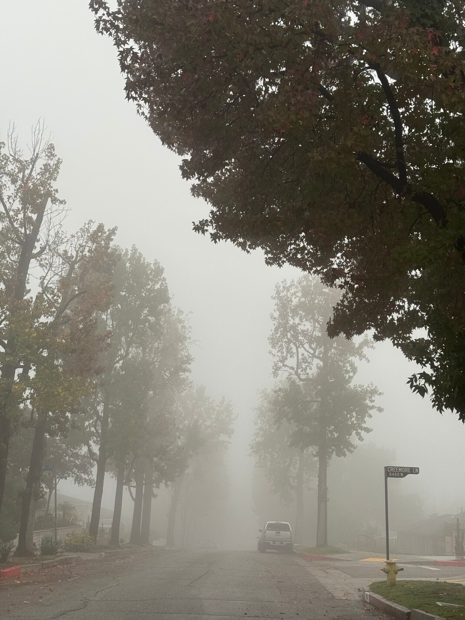 Building Photo - 9809 Creemore Dr