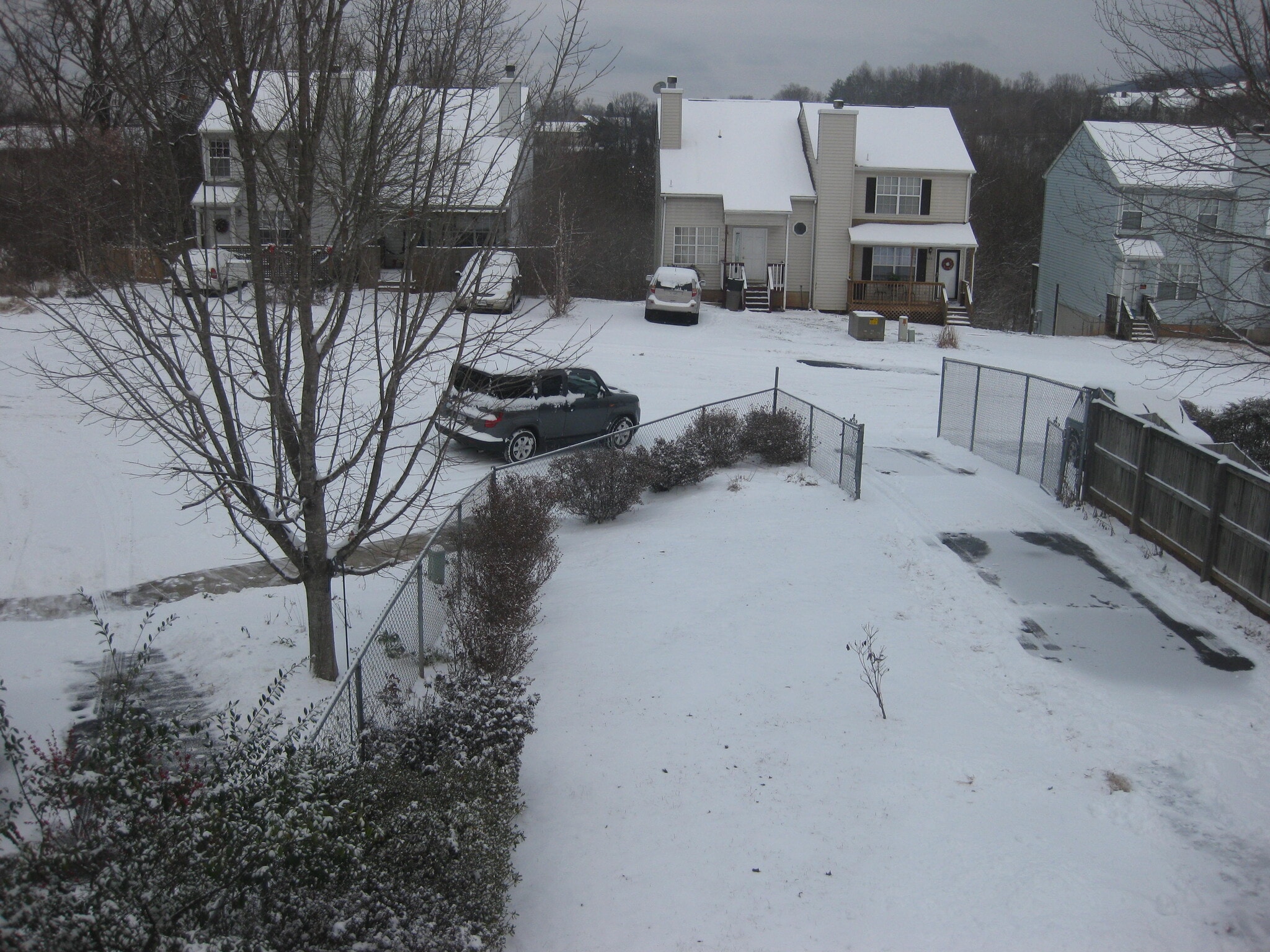 Front yard, allowing privacy off the street - 433 Riverside Ave