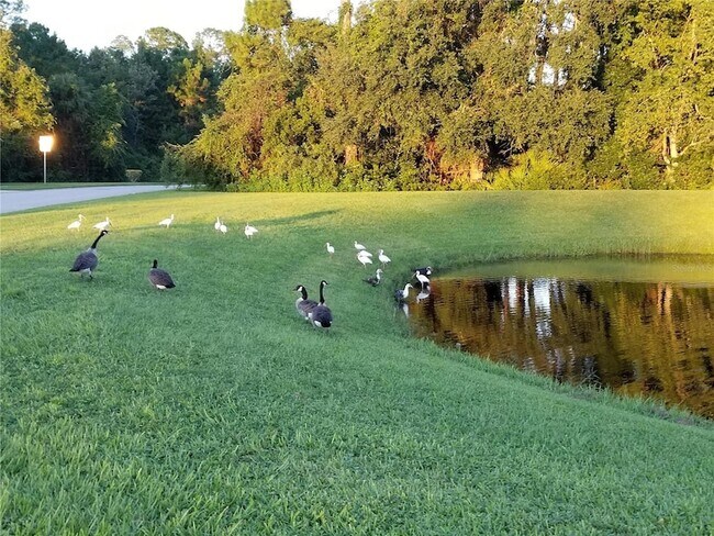 Building Photo - 237 N Hidden Tree Dr