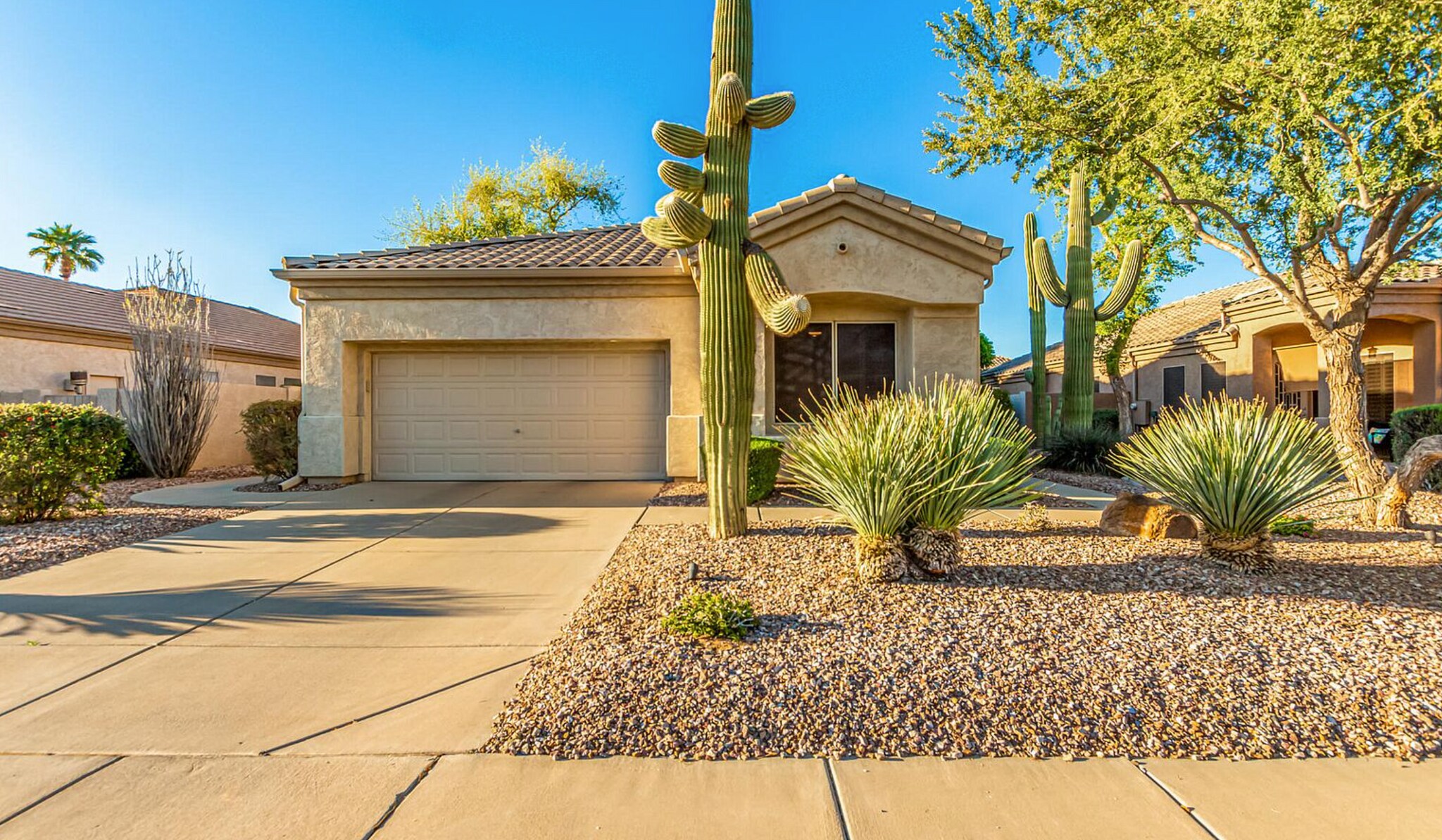 Building Photo - 892 W Raven Dr