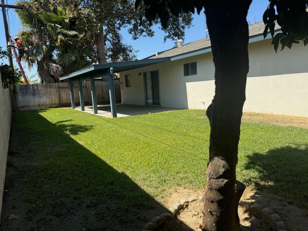 Building Photo - 4309 Starling Dr