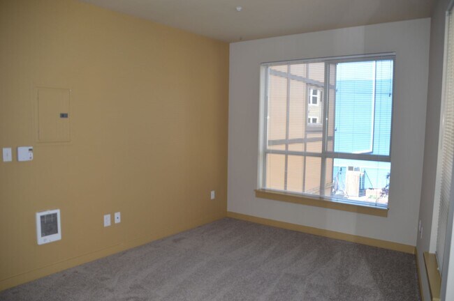 Building Photo - Amazing Capitol Hill Studio - GREAT DEAL!