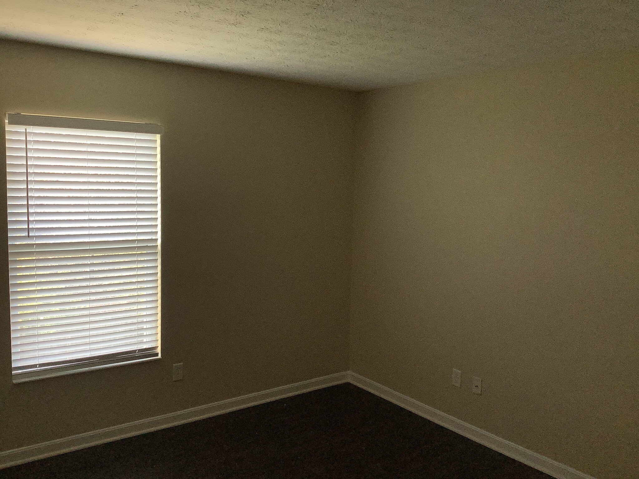 Building Photo - 11789 Holgate Dr