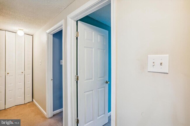Building Photo - 13419 Demetrias Way