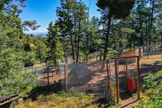 Building Photo - Backcountry Living