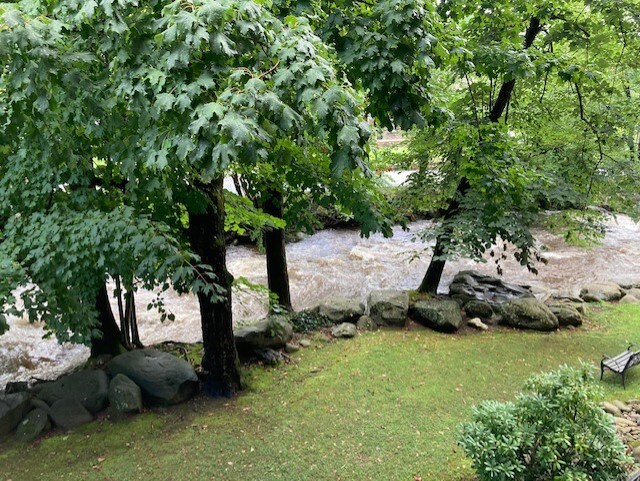 Building Photo - 210 Roaring Fork Ext