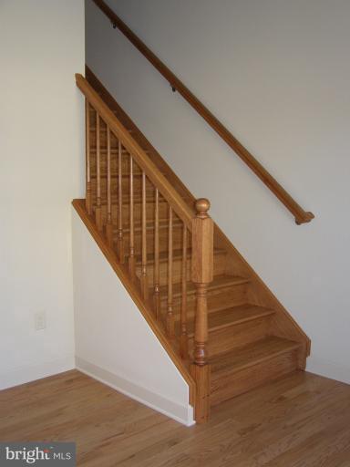 Building Photo - 230 Mt Airy Ave