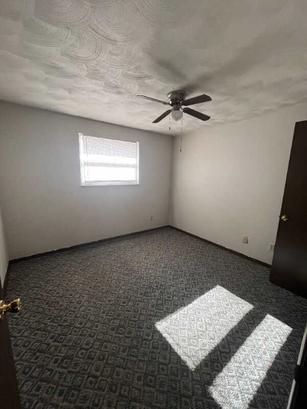 Building Photo - 509 E Staat St