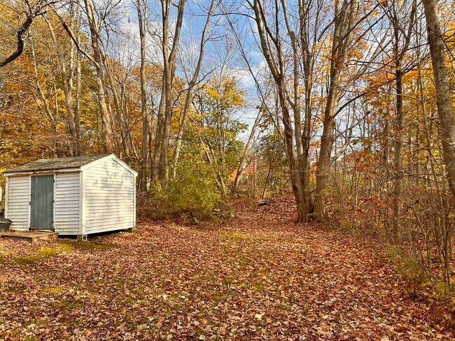 Backyard - 190 Hicks St