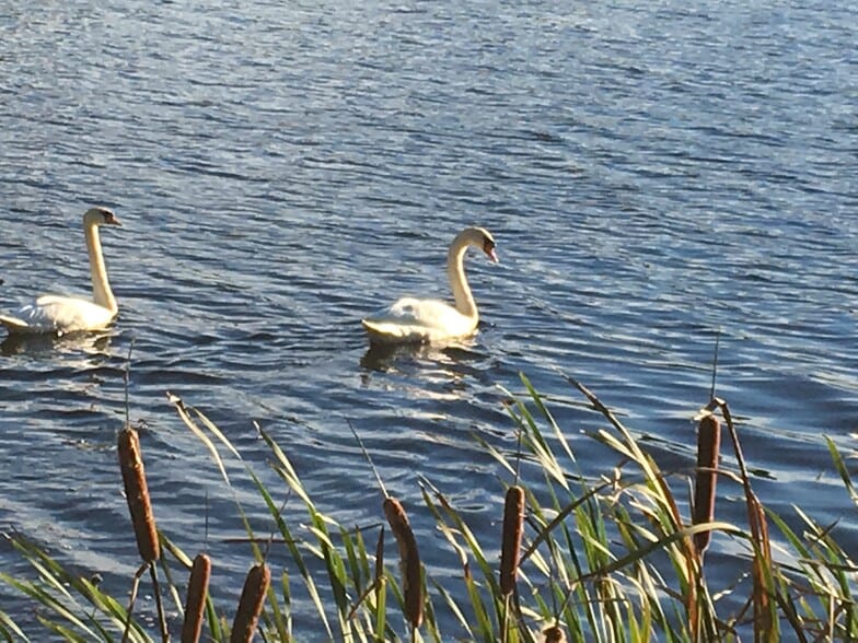 Building Photo - 122 W Central St