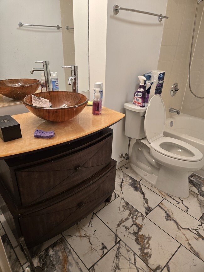 Guest Bathroom 2 - 3423-407 S Cottage Grove Ave