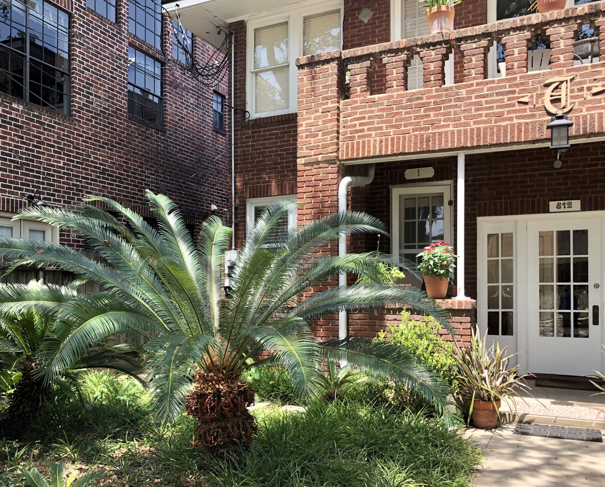 Sego Palms Porch 1 - 812 Branard St