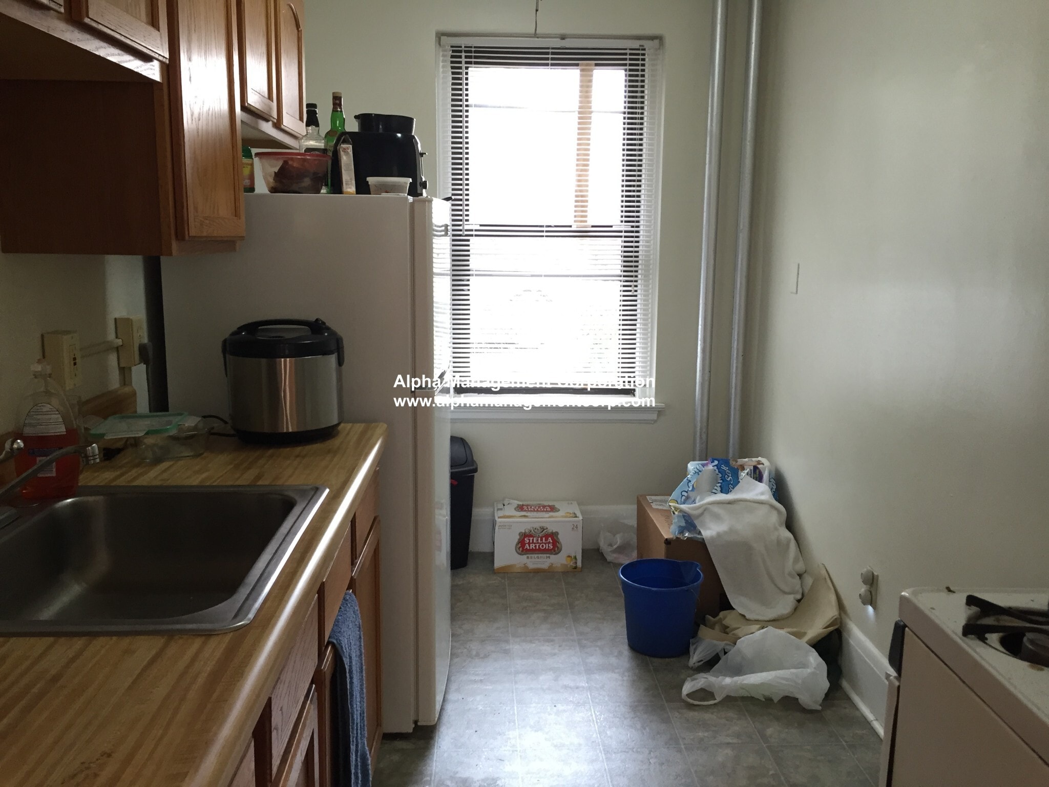 Building Photo - 349 Pleasant St