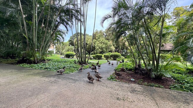 Building Photo - Queen Emma Gardens – Prince Tower | Studio | 1 Bath | 1 Assigned Parking