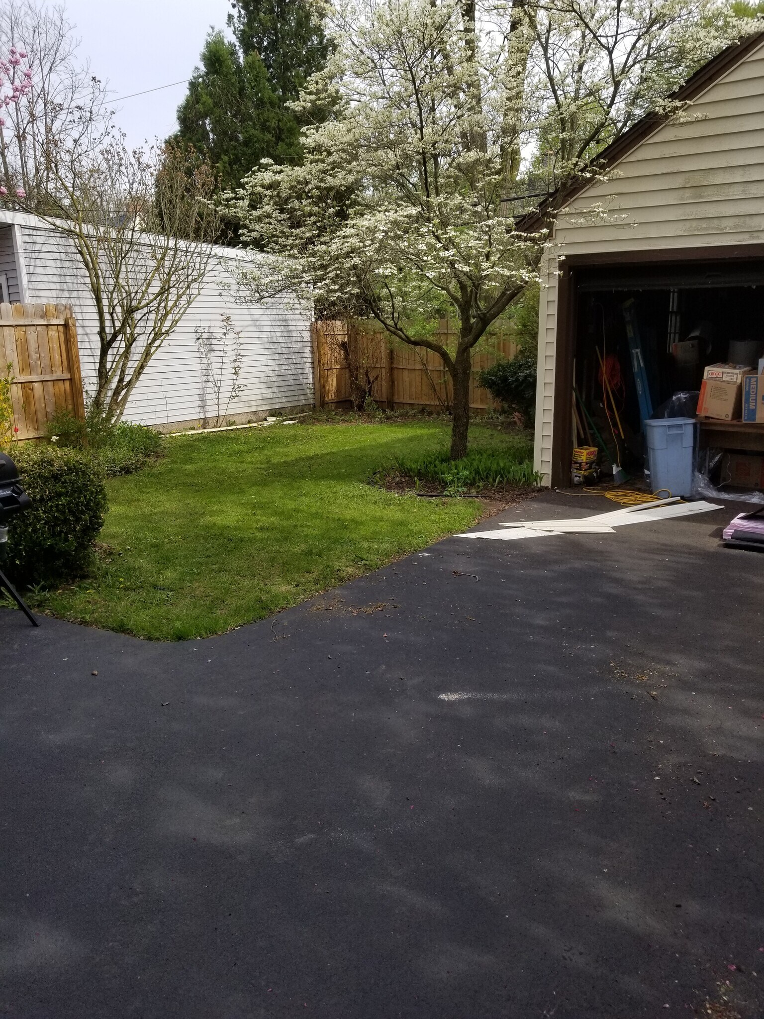 Backyard - 69 Cypress St