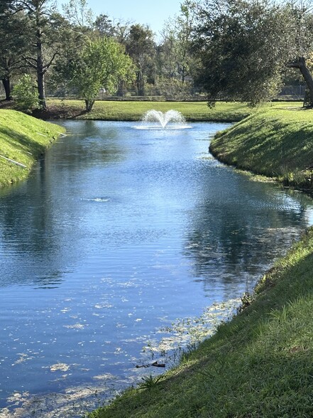 Lake behind townhome - 1337 Airport Dr