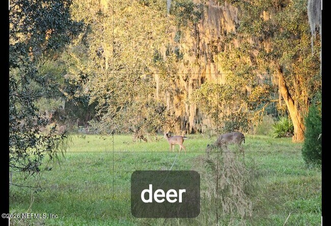 Building Photo - 3175 Ravines Rd