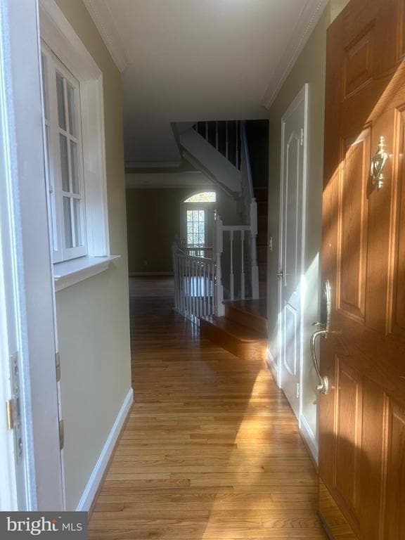 Building Photo - 3904 Green Look Ct