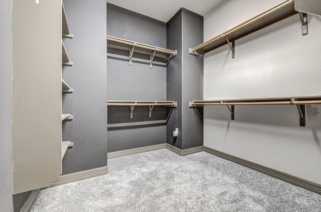 Building Photo - 11825 Terraza Cir