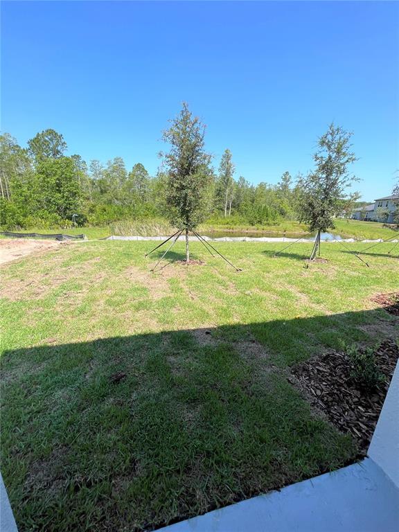 Building Photo - 16831 Forge Surf St