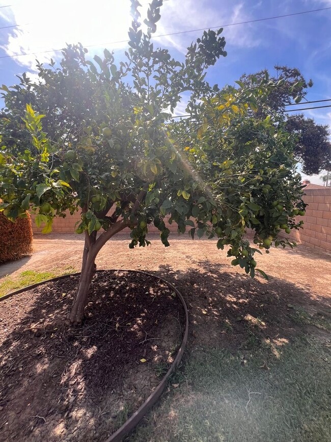 Building Photo - Charming 3-Bedroom Home in Whittier, CA!