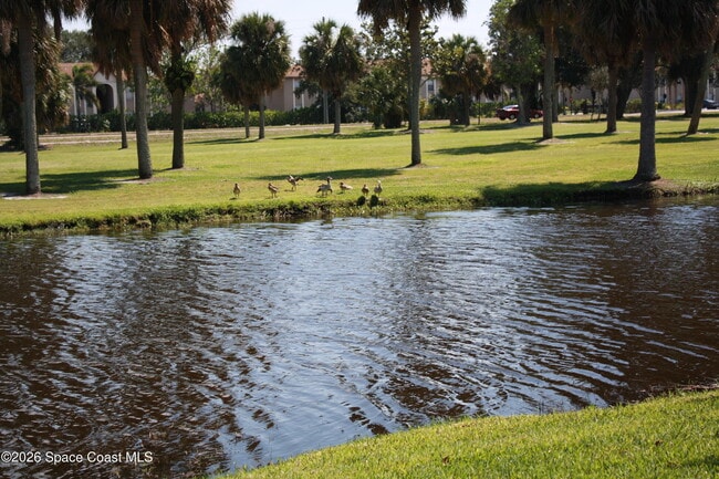 Building Photo - 2145 Golf Isle Dr