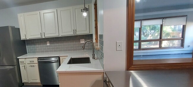 Kitchen with Bosch dishwasher / Quartz counters - 505 S Ridgeway Ave