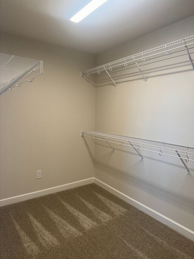 Building Photo - Brand New Luxury Living!