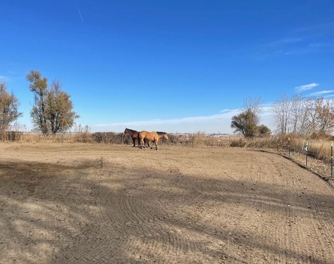 Building Photo - 4 Bedroom 2 Bath Home with Mountain Views ...